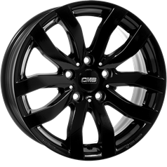 CMS C22 CBG