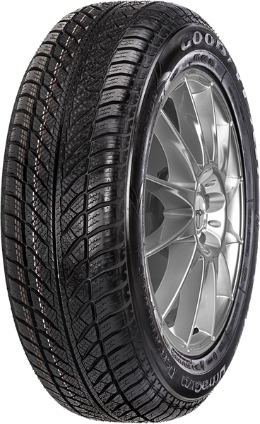 Goodyear UG Performance 2 255/50 R21 106 H RUN ON FLAT MFS, *