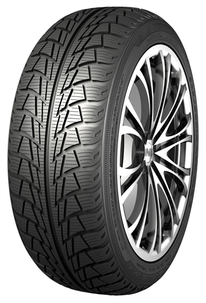 Nankang Snow Viva 195/55 R16 87 H Soft Compound