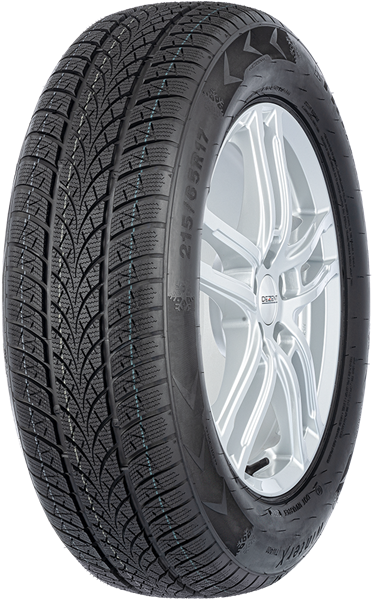 Triangle Winter X TW401 195/65 R15 95 T XL