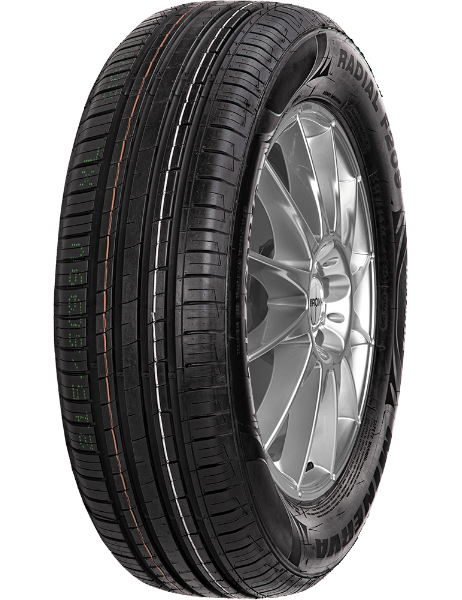 Minerva F209 205/55 R16 91 W