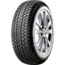 Nahaufnahme der Lauffläche Giti Winter W1 205/50 R17 93 V XL