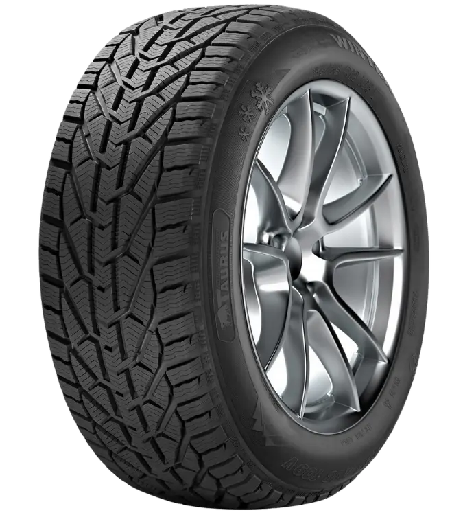 Taurus Winter 195/65 R15 91 T