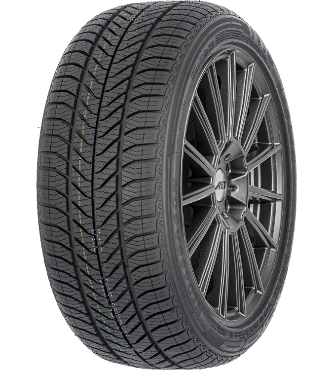 Neolin Neo4Season 195/55 R15 89 V XL