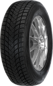 Nahaufnahme der Lauffläche Mastersteel WINTER + 225/40 R18 92 H