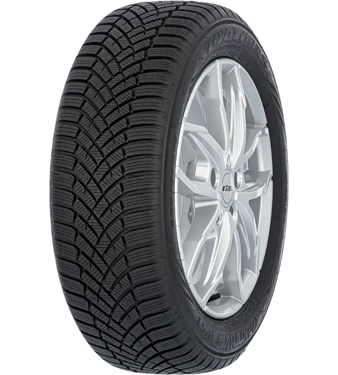 Toyo Observe EWS1 205/55 R16 91 H